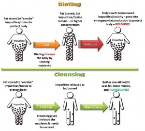 cleansing vs. dieting